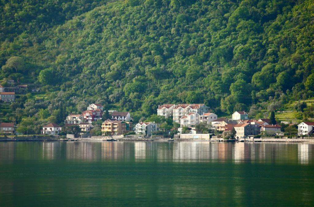 Ana Apartment Kotor Bagian luar foto